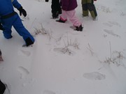 Výprava do zimního lesa